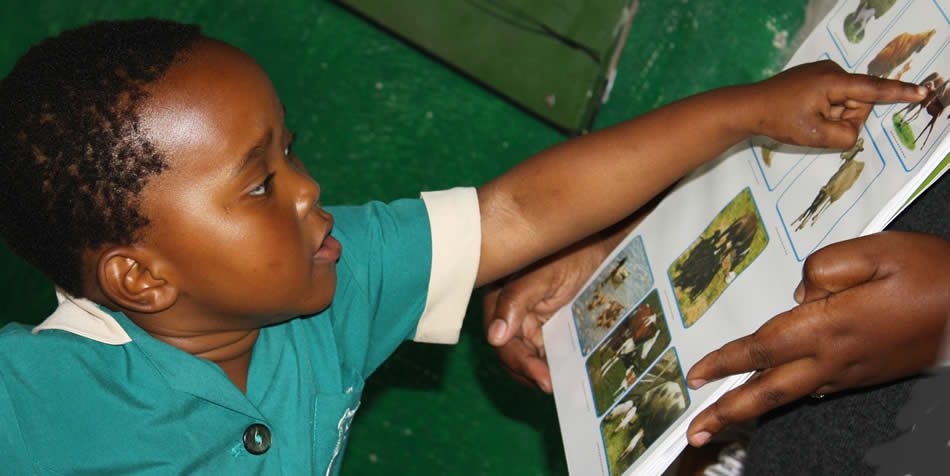 How you gave ‘learning’ for Christmas