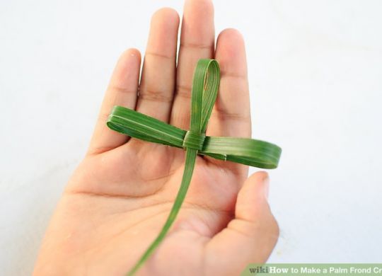 Palm cross